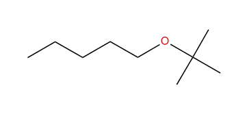 Pentyl tert-butyl ether